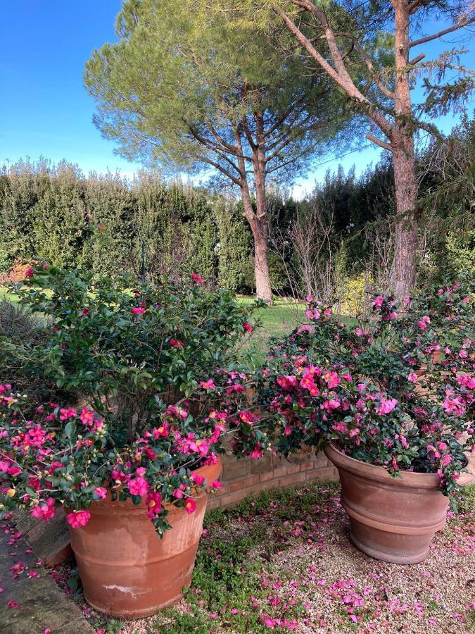 B&B Villa Fioreconero Montacuto Экстерьер фото