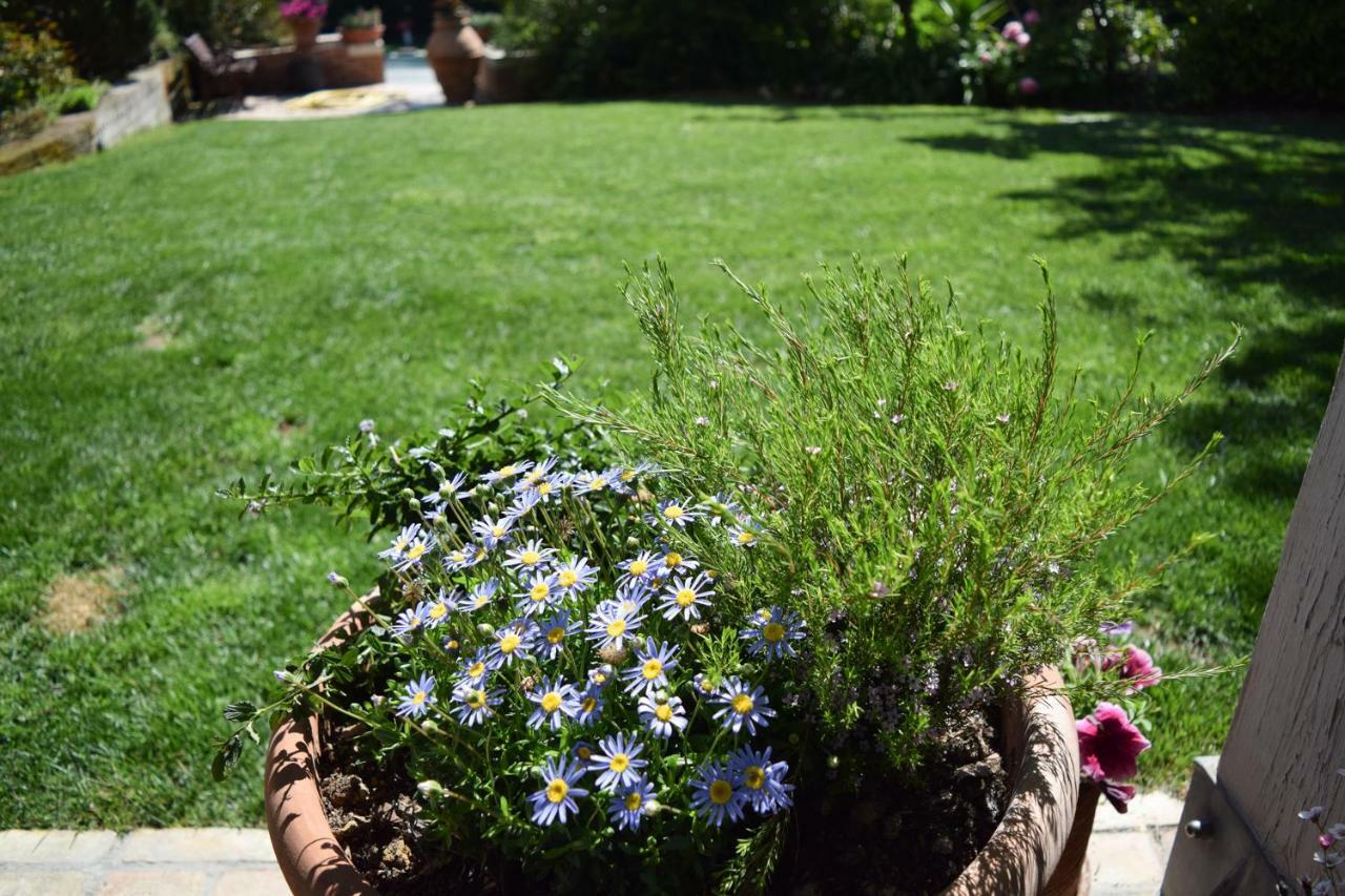 B&B Villa Fioreconero Montacuto Экстерьер фото